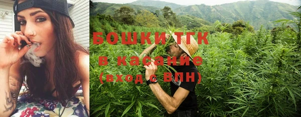 стаф Данков