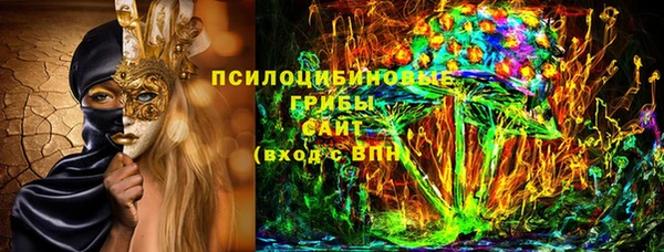 ECSTASY Абаза