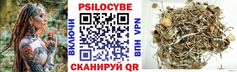 сайты даркнета телеграм  Каменка  Псилоцибиновые грибы ЛСД  где купить  