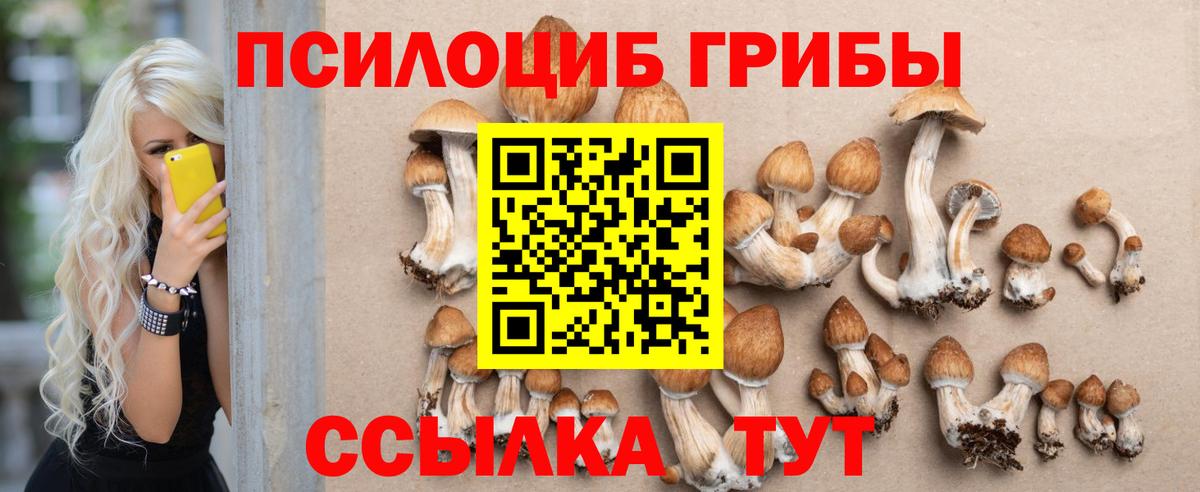 Псилоцибиновые грибы Cubensis  Вход с VPN  Псилоцибиновые грибы мухоморы  Каменка 