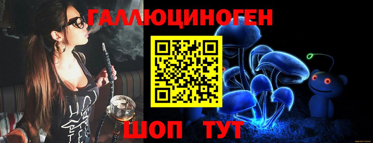 Псилоцибиновые грибы Cubensis Каменка